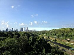Normanton Park (D5), Apartment #501781541